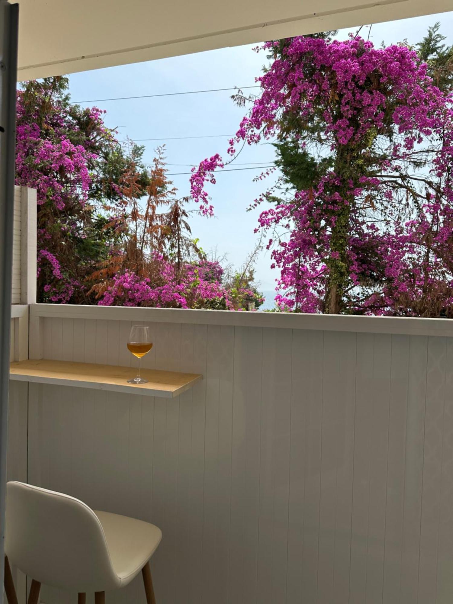 Apartament Elmazaj